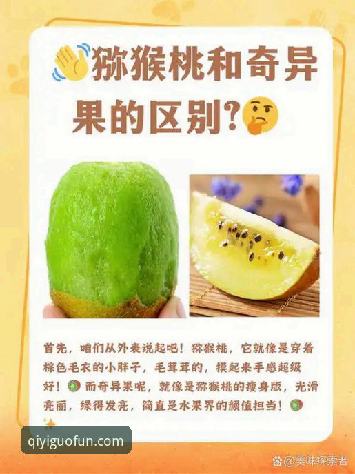 奇异果视频深度分析：从正版体验到会员权益，一篇讲透
