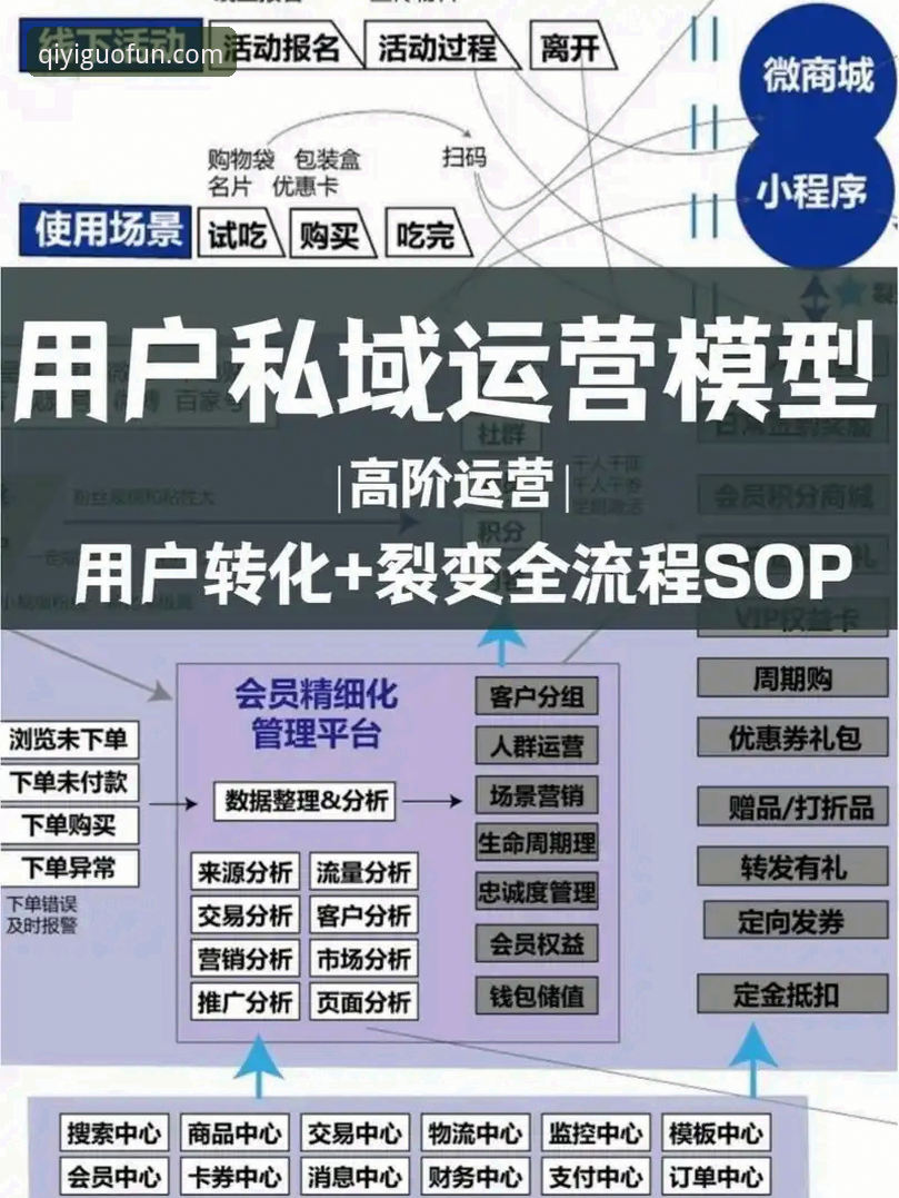 奇异果会员iOS版 奇异果会员iOS版最新动态:流媒体行业竞争格局与用户体验升级解析